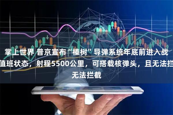 掌上世界 普京宣布“榛树”导弹系统年底前进入战斗值班状态，射程5500公里，可搭载核弹头，且无法拦截