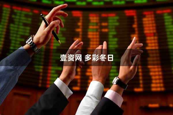 壹资网 多彩冬日